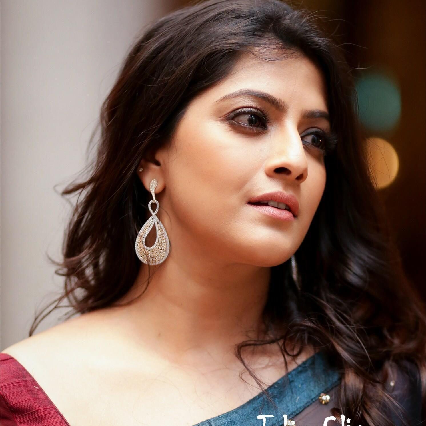 Varalaxmi Sarathkumar (Actor)